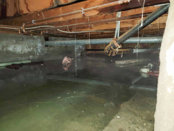 Best 24/7 water damage repair  in Morrilton, AR
