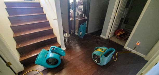 Best Residential water damage restoration  in Morrilton, AR