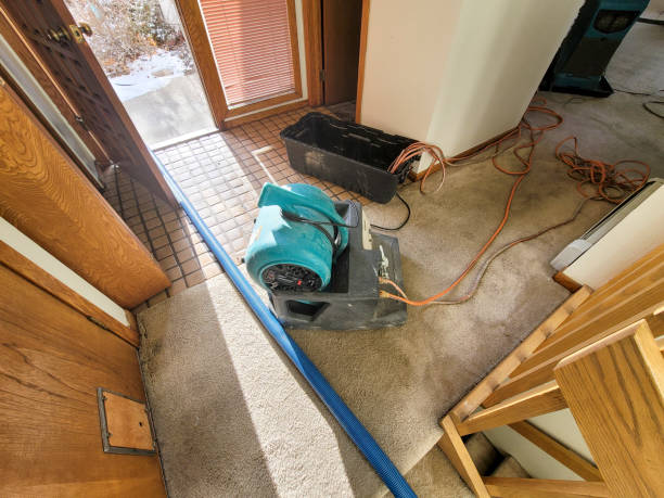Best Flood restoration services  in Morrilton, AR