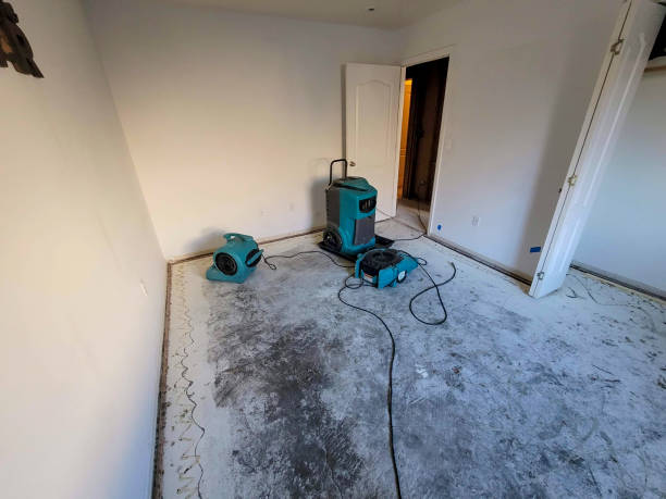 Best Water damage restoration near me  in Morrilton, AR