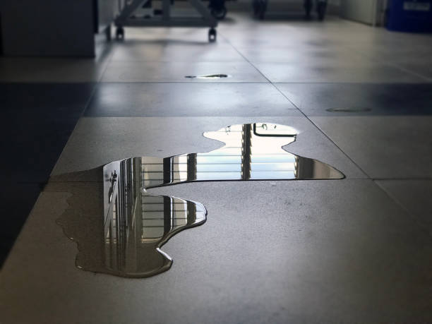 Best Water damage restoration cost  in Morrilton, AR