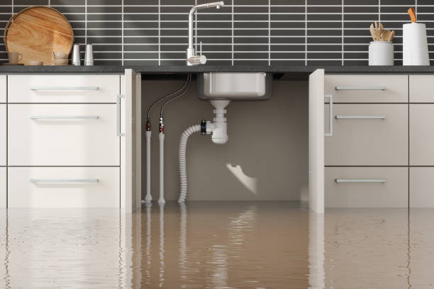 Best Water damage contractors near me  in Morrilton, AR