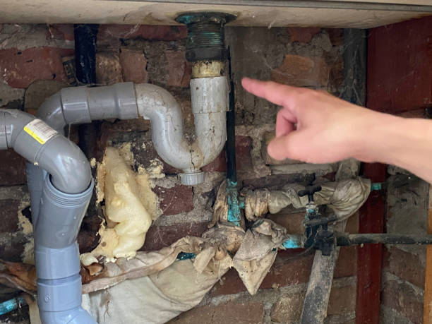 Best 24-hour water damage restoration  in Morrilton, AR