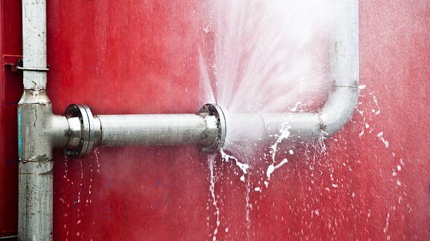 Best Mold removal after water damage  in Morrilton, AR