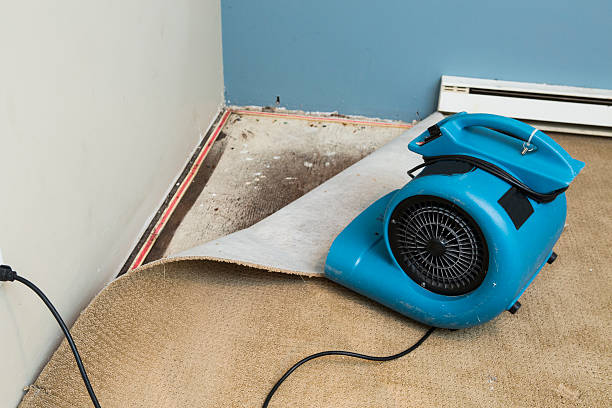 Best Emergency water damage restoration  in Morrilton, AR